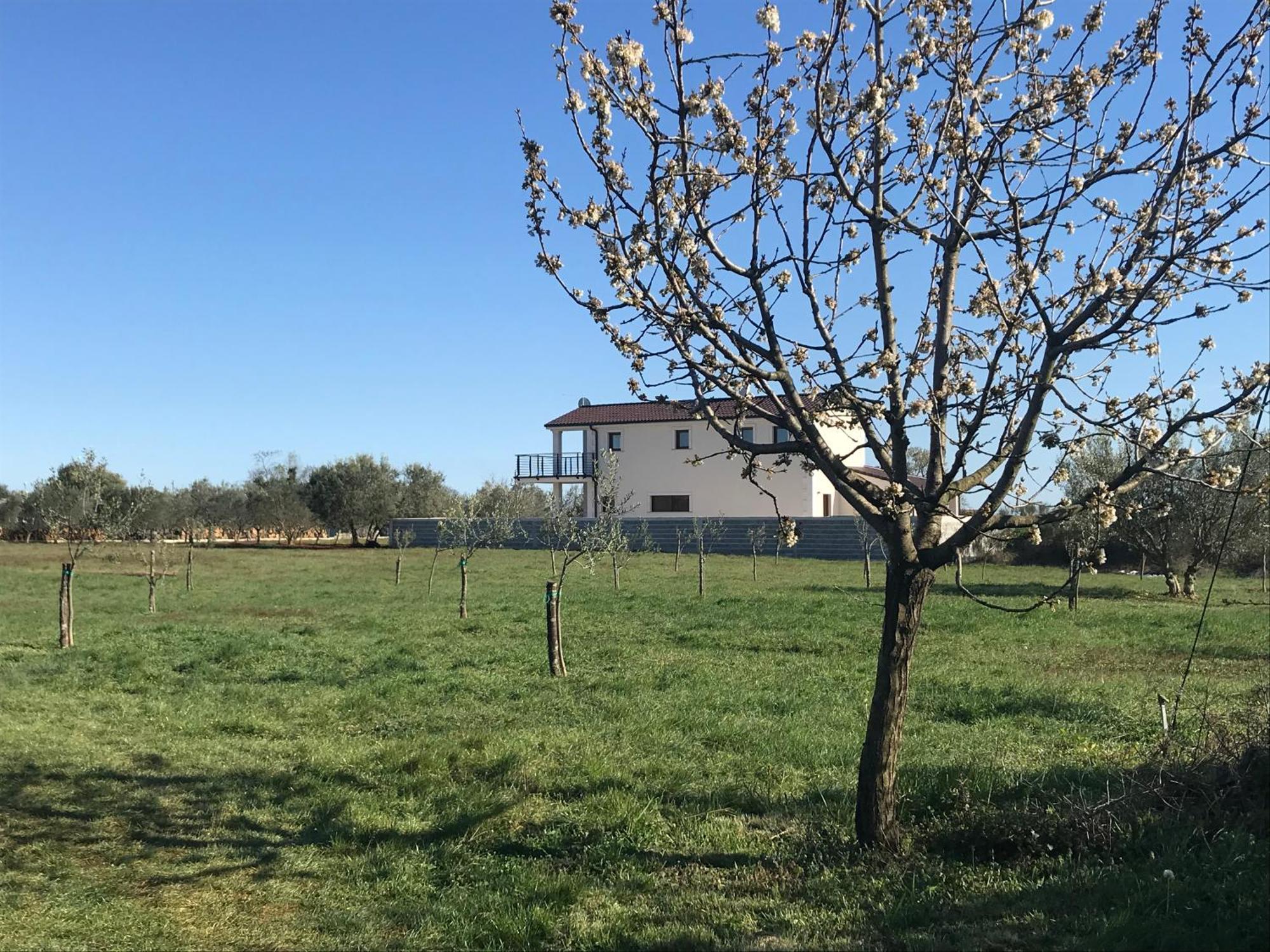 Villa Lydia Marcana Bagian luar foto