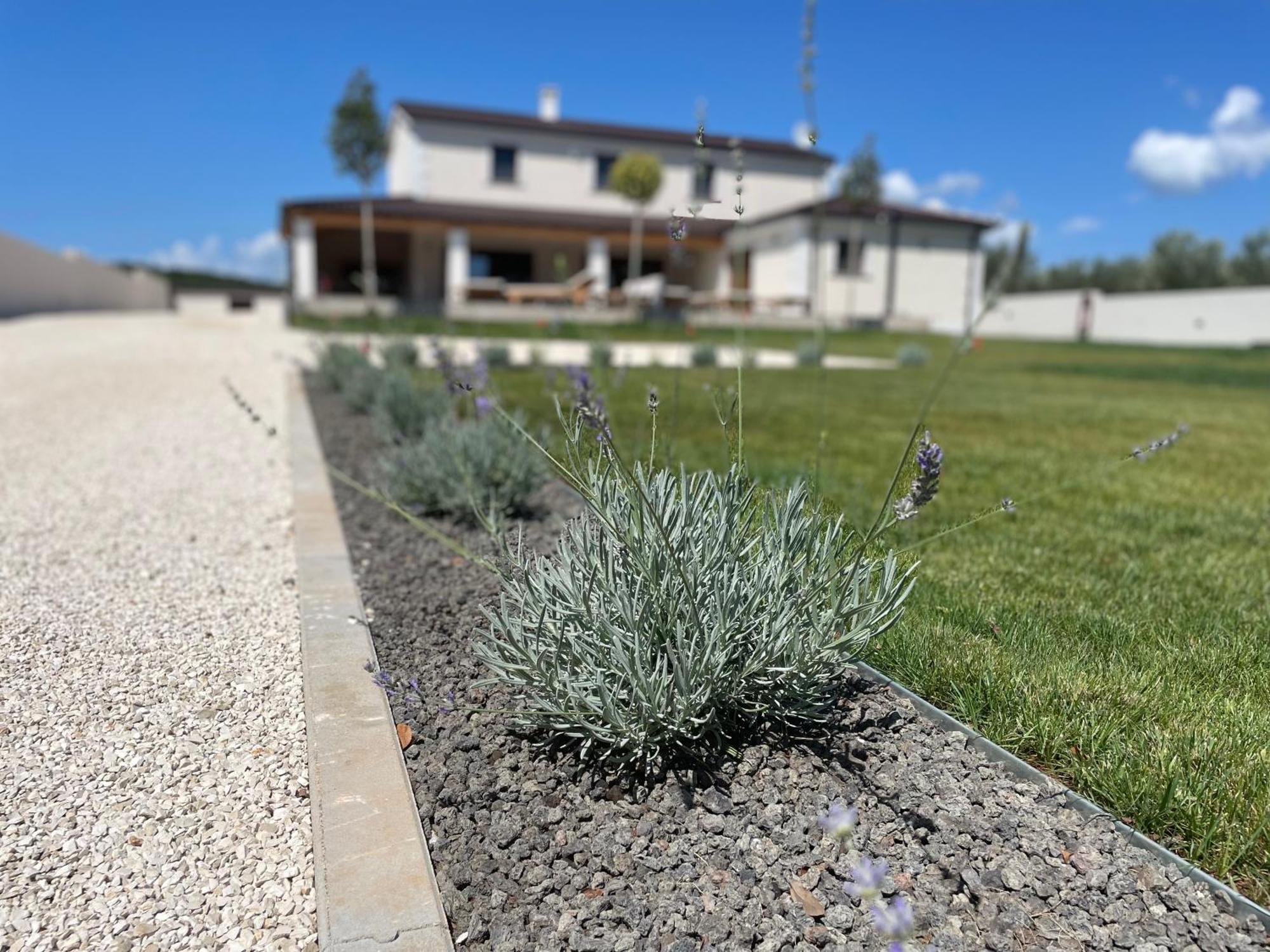 Villa Lydia Marcana Bagian luar foto